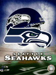 pic for seattle sea hawks